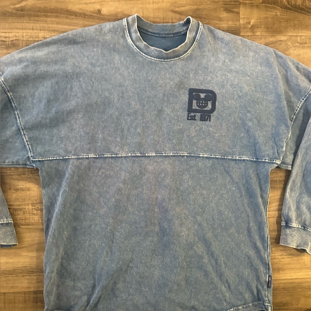 Walt Disney World Acid Wash Grey Spirit Jersey Adult